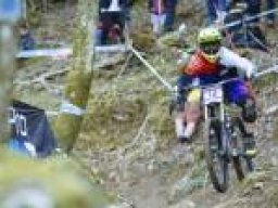 2e1ax_greenie_frontpage_carina_cappellari_lourdes_640